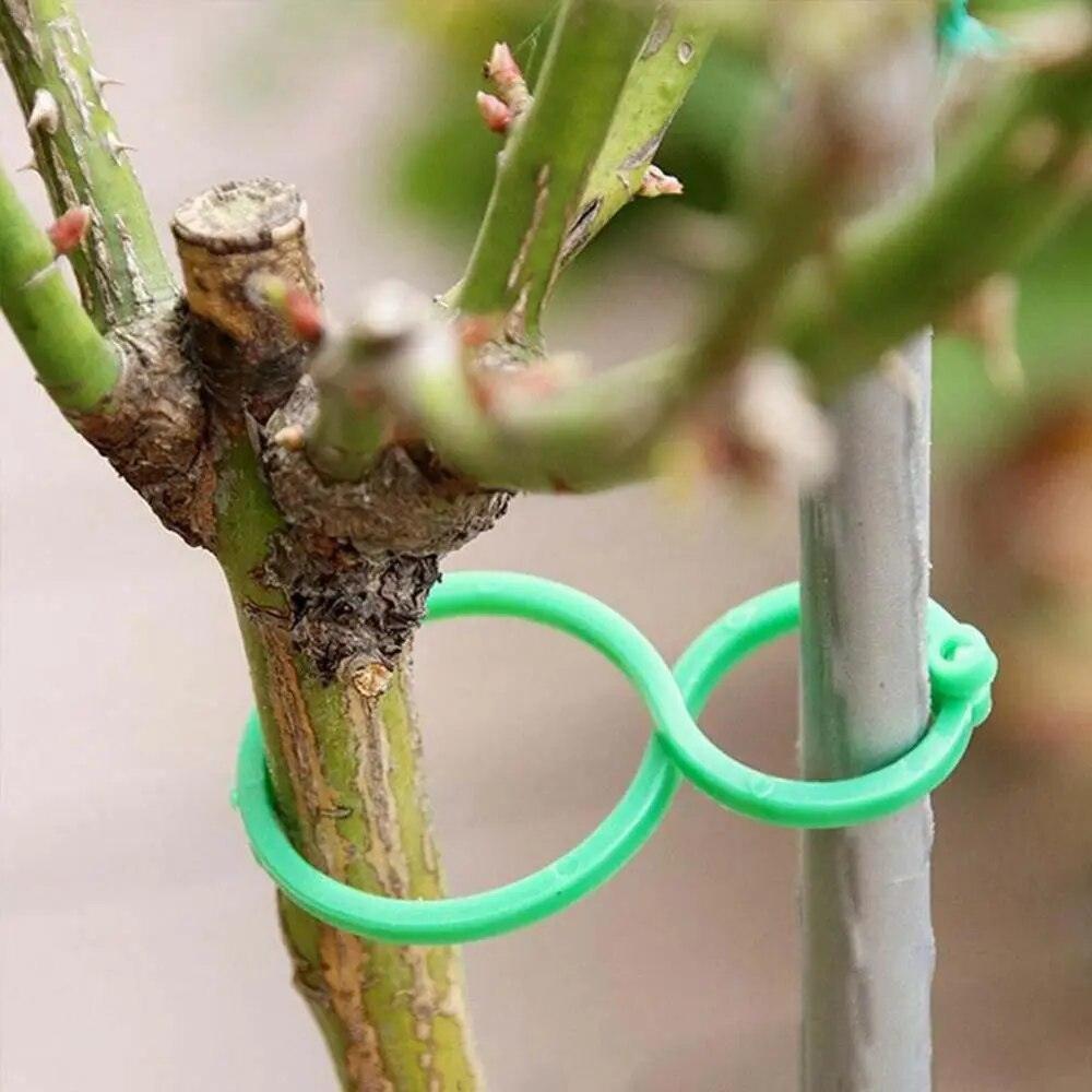 Suportes Clipes De Cintas Para Plantas - Plant Holder