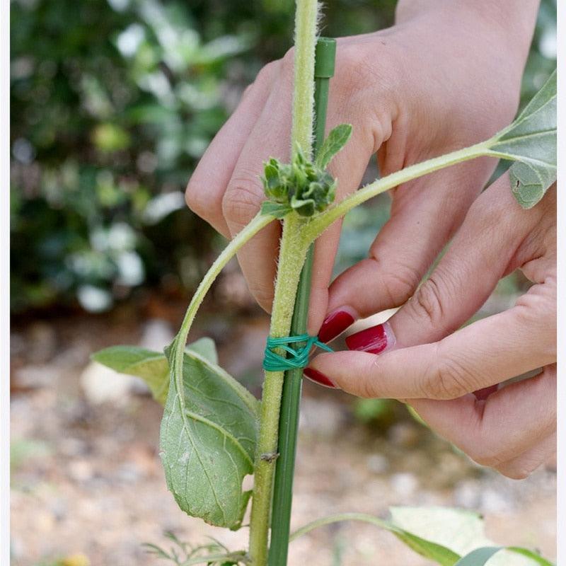 Rolo 50 metros De Ligação Para suportes de Plantas multifuncional Ecológico - PlantMed™ (Compre 1, Leve 2)
