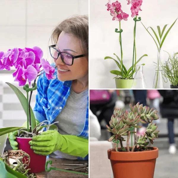 Suas Plantas Mais Grandiosas e Vivas - Suportes PlantLife™ (Perfeito para Orquídeas, Flores e Rosas)