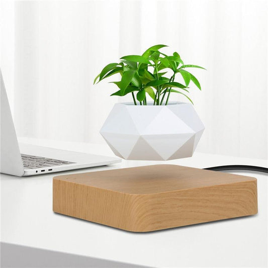Vaso de Planta Flutuante com Suspensão Magnética  - GreenPot™