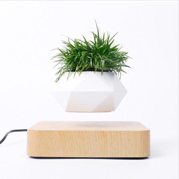 Vaso de Planta Flutuante com Suspensão Magnética  - GreenPot™