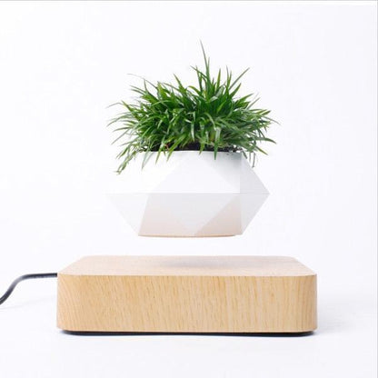 Vaso de Planta Flutuante com Suspensão Magnética  - GreenPot™