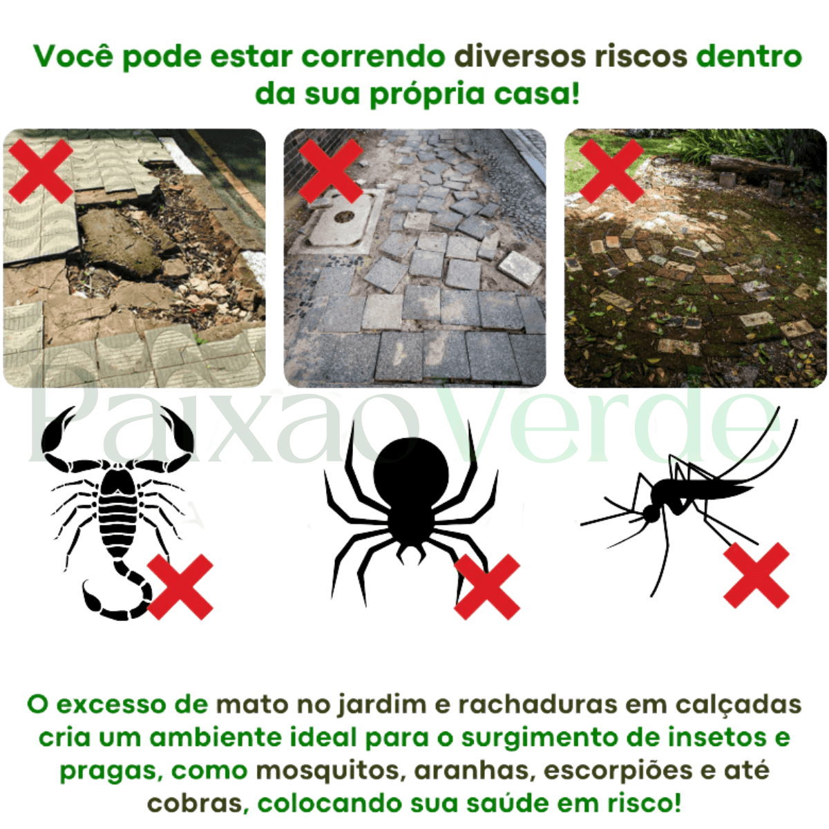 Molde para piso de concreto Paixão Verde™