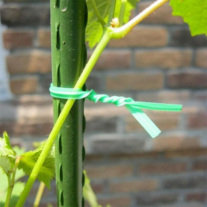 Rolo 50 metros De Ligação Para suportes de Plantas multifuncional Ecológico - PlantMed™ (Compre 1, Leve 2)