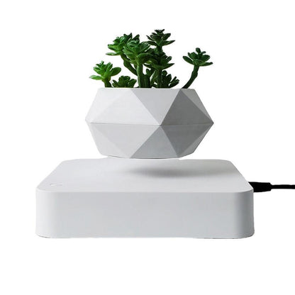 Vaso de Planta Flutuante com Suspensão Magnética  - GreenPot™