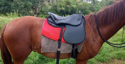 Sela Australiana 17" em Corano Fit com Arreios Completos e Estribo